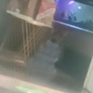 MALONA Soes Coklat Kiloan 500g/1kG Kue Sus Kering Varian Rasa Coklat & Stroberi HALAL Cemilan Manis Enak Sus Coklat Food Snacks