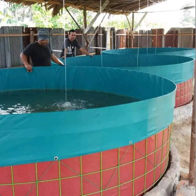 Probiotik Ikan Nila Dan Lele Bioflokulan 3