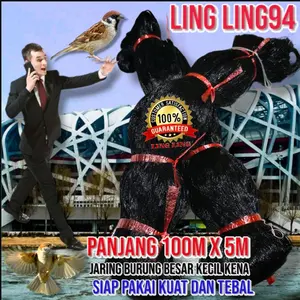Jaring Burung Panjang 100 meter x 5 meter - Jaring Burung Hitam Untuk Branjang Burung Besar Kecil seperti Emprit Perkutut Cended Kutilang Trucuk Ruak Ruak di sawah dan di kebun