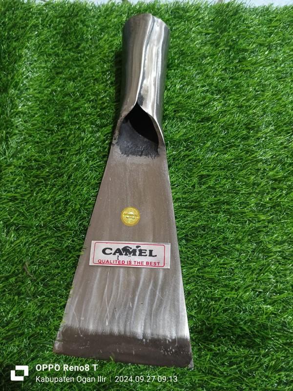 Product Introduction of DODOS SAWIT CAMEL PUTIH PREMIUM 2
