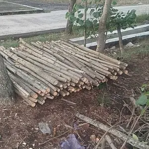 FUYAON Mesin Chainsaw 6 Inch Cordless Chainsaw 36V Gergaji Baterai Gergaji Rantai Elektrik Mini 2 baterai Gergaji Listrik