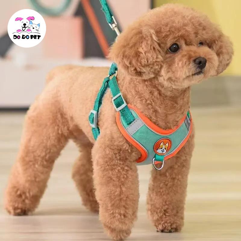 DODO-Dây Đai Phản Quang Cho Thú Cưng, Áo Vest Có Thể Điều Chỉnh Cho Chó Nhỏ, Chó Con, Teddy Koki, Đi Dạo Ngoài Trời, Dây Xích Chì, Dây Đeo Ngực Cho Mèo