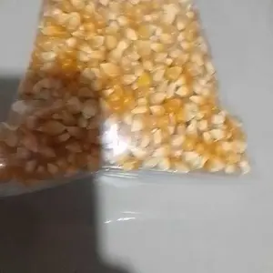 Jagung Popcorn Super 1Kg Mentah