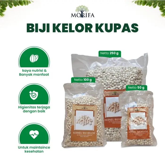 Biji Kelor Kupas Premium Kernel Biji Kelor Moringa Seed Kernel Siap Konsumsi 100% Alami Camilan Food Makanan Kacang Snack Cemilan
