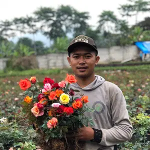 Link co khusus live mawar 100rb full media