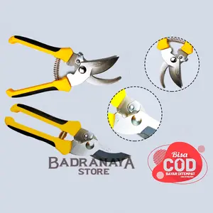Gunting Dahan Hasston Prohex anting Bunga Tanaman Pohon Stainless Steel Bonsai Teflon Gunting Dahan High Quality