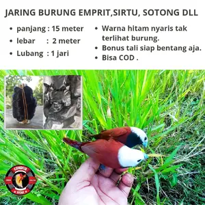 Jaring Burung Emprit Sirtu ciblek jebakan burung terbang