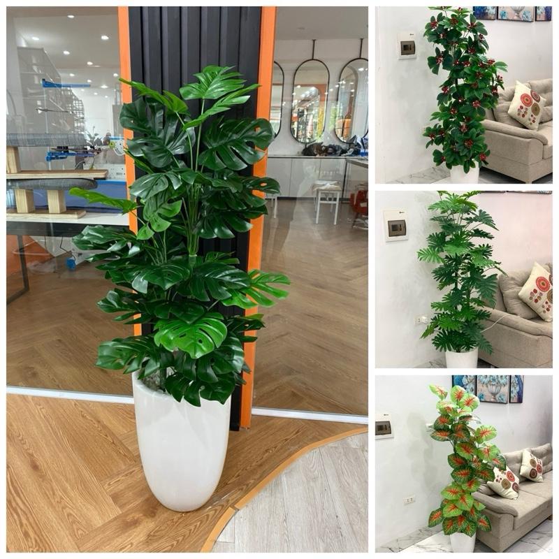 Cây trầu bà, cây trầu bà lá xẻ cao 1m5, 3 thân, cây giả trang trí, cây giả decor