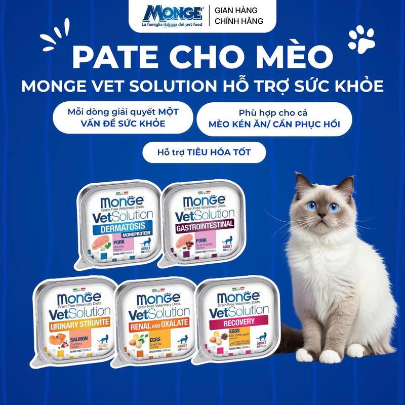 Pate Monge Vet Solution Hỗ trợ vấn đề Sức Khỏe cho Mèo - HAPPY PETFAMILY