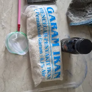 Fish Art • Ketapang Celup Hasil Fermentasi