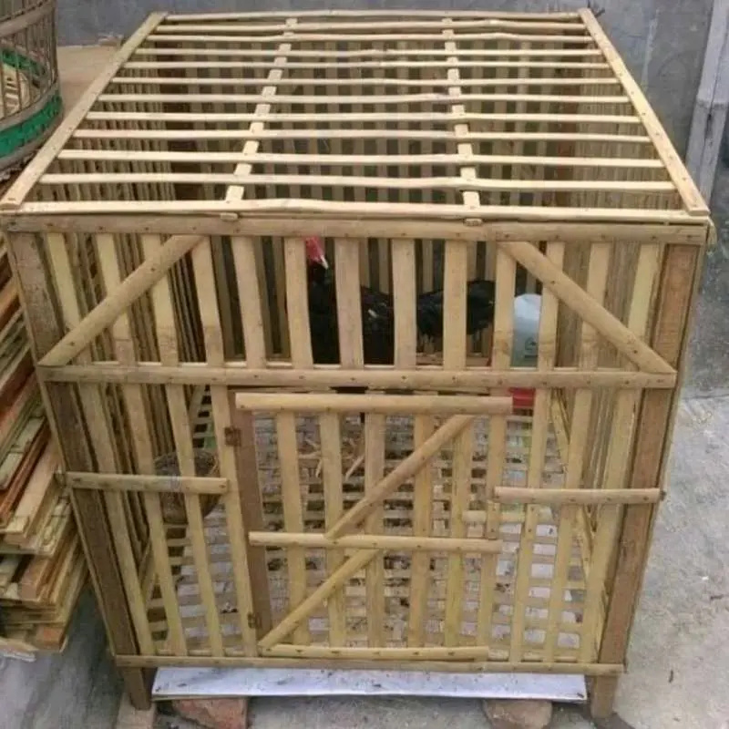 kurungan ayam jago petarung ukuran 70x50cm
