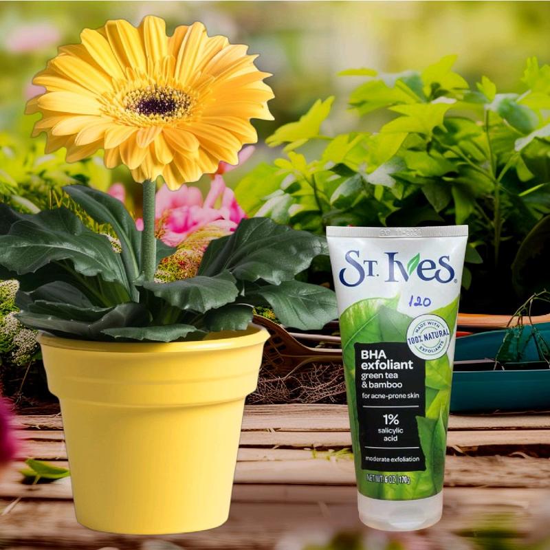 Sữa rửa mặt tẩy tế bào chết st.Ives scrub 170g thành phần thiên nhiên nuôi dưỡng làn da tươi trẻ mỗi ngày 3