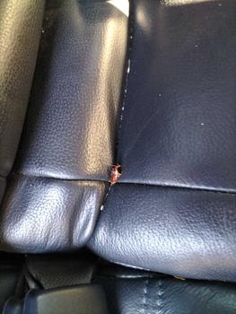 Product Review of READY STOCK ! PEST CONTROL KILL IT LIPAS KERETA SPRAY LIPAS KERETA from H**n 1