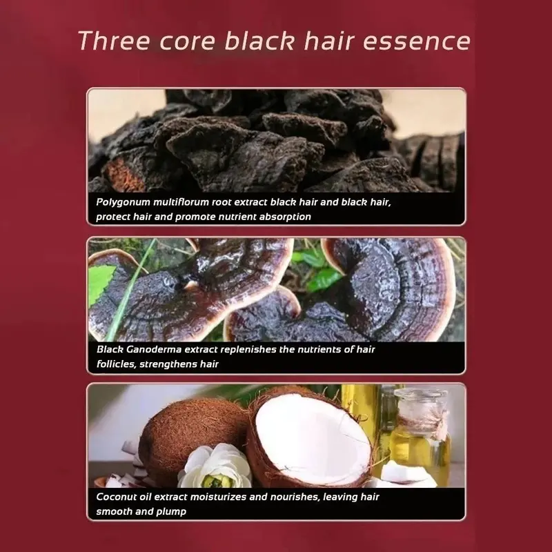 SHAMPO Black Herbal Natural Penyamar Rambut dan Penghiang uban Usia Muda 300ml Shampoo Herbal Polygonum Penghitam Rambut Hitam Dalam Sampo Ketombe Sampo Menghitamkan  Conditioner 7