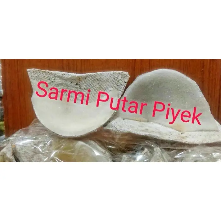 Sarang Imitasi untuk Anak Walet dan Pancingan 2