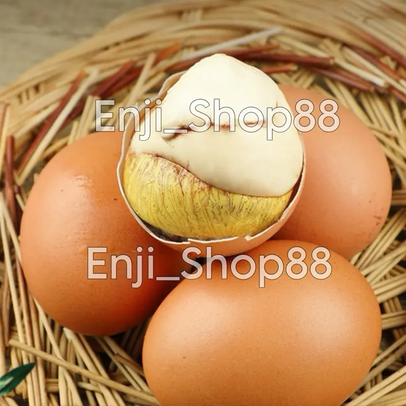(READY SIAP KIRIM) [HARGA SATUAN] TELUR BALUT VACUUM MAKANAN KHAS VIETNAM TELUR BALUT VIRAL 4