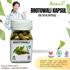 HERBALUV Kapsul Brotowali Original Herbal Gatal Alergi
