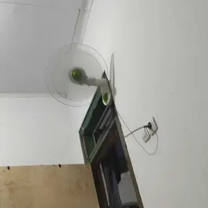 Tali Kaki Burung Kutilang Trucuk Mambo Free Kokot Udang