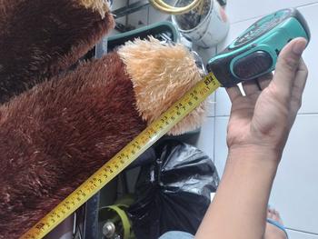 Product Review of Boneka Jumbo Teddy Bear Beruang Besar 1,6 Meter SNI Premium Gemoy - Dewasa, Anak from Y**i 2