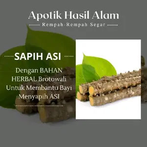 Rempah-Rempah Brotowali/ batrawali untuk sapih balita