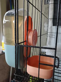 Product Review of Pet Food Bowl Can Hang Stationary Dog for Cat Cage Feeder Bowls Dogs Hanging Bowls Puppy Rabbit Kitten Feeder and Water from J**9 1
