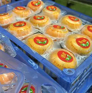 Persimmon 1kg Buah Asli Berkualitas Terbaik - Makanan, Zuriat, Anggur, Frozen, Lemon