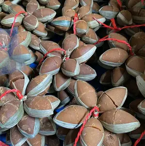 GULA AREN ASLI LEBAK BANTEN 1 Kojor Manis Merah Bahan Food