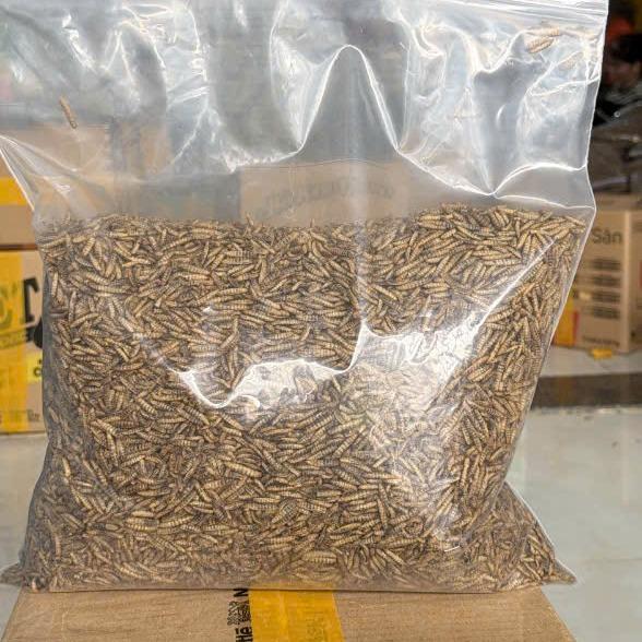 1KG SÂU CANXI SẤY KHÔ TÚI 1KG sử dụng cho gà cá cảnh chim cảnh bò sát hamster giàu đạm và canxi giúp vật nuôi phát triển tích cực.