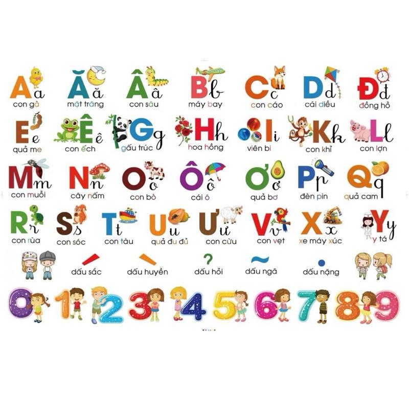Decal dán tường bảng chữ cái tiếng việt cho bé