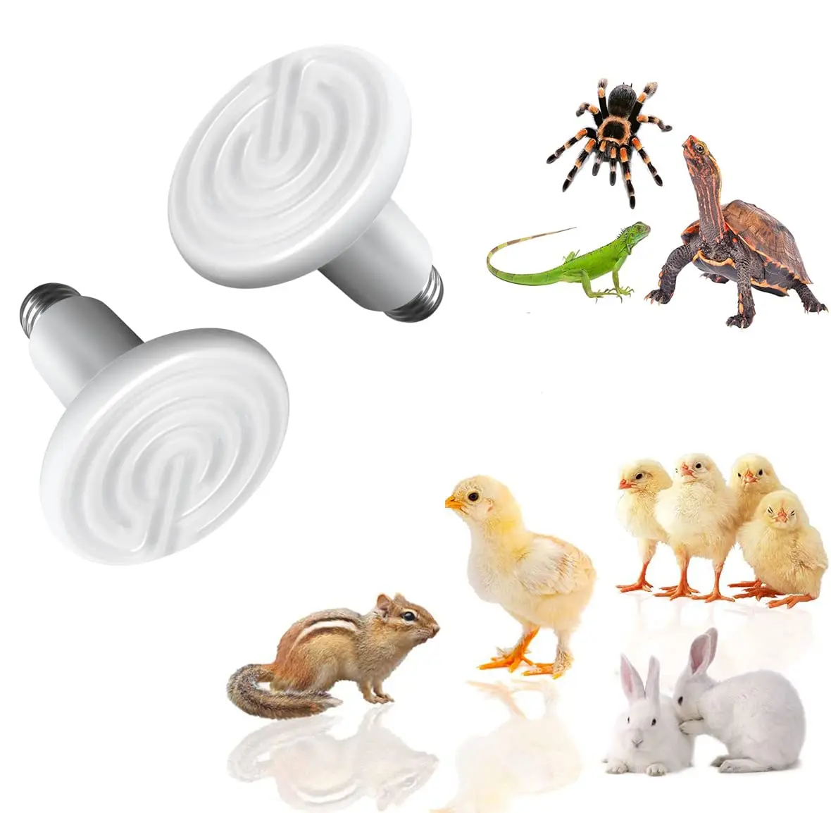 Heat Lamp, 2PCS Ceramic Heat Heat Lamp Bulb No Light Emitting Brooder Coop Heater, for Pet Coop Lizard Turtle Snake Aquarium Amphibian Pet Incubating Chicken 24hr Heat Source (100W)