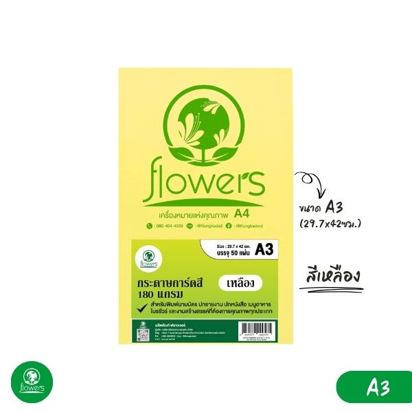 กระดาษการ์ดสี flowers A3 180 แกรม 50 แผ่น (Colors Card Paper)