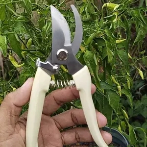 Gunting Pemotong Dahan Akar Ranting Daun Tanaman Pemotong Gunting Berkebun