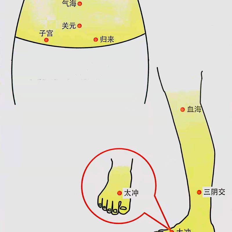 FERRAGOLD MENSTRUAL PAIN+OVARY  Tong jing bao yang tie 4
