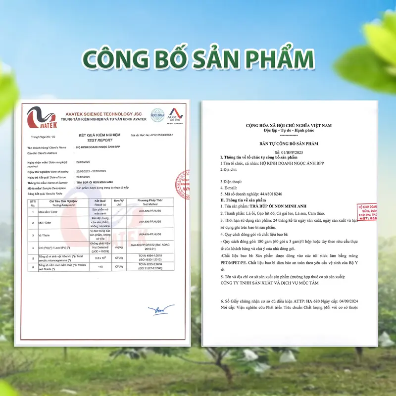 COMBO 30 Túi Lọc 5 VỊ BÚP ỔI NON [Ngọn Ổi Non - Cam Thảo - Cà gai leo- Lá Sen - Gạo Lứt] tặng 5 túi 2
