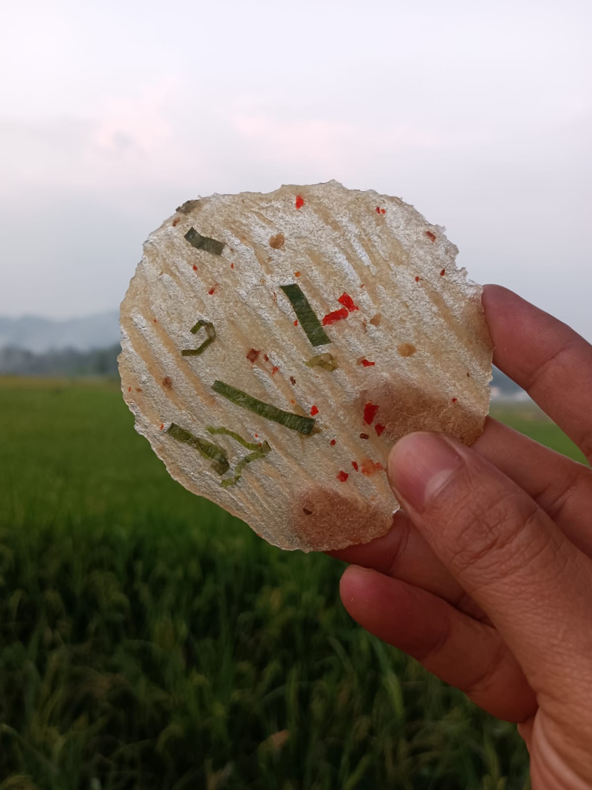 Kicimpring Singkong Mentah Bawang Cabai Gurih dan Renyah Camilan Kering Cemilan Kerupuk Snacks Makanan Keripik Pedas Food Kripik Opak Singkong Manis Asin enak