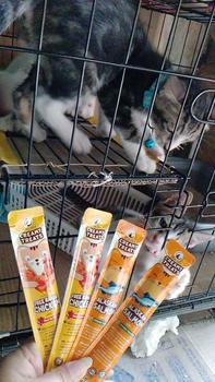 Product Review of Olive Care SINGLE CREAMY TREATS 16gr & 20gr Snack Cemilan Kucing Bernutrisi dengan Daging Ayam/Salmon/Tuna Asli with Red Spinach/Winter Squash/Highbush Blueberry from m**a E**a 3