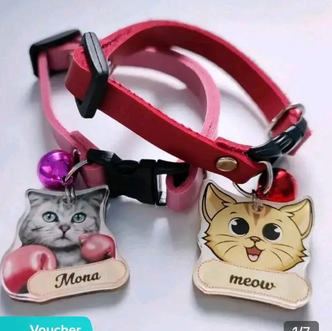 Kalung kucing rikwes nama dari kulit sintetis