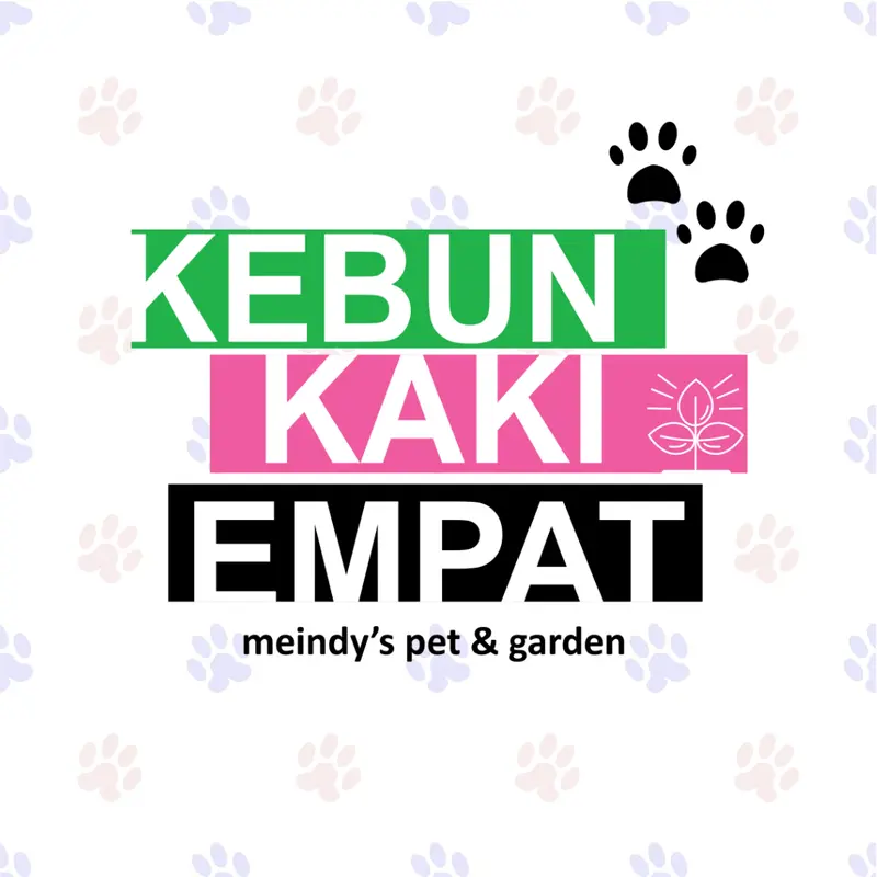 Fifi Cat Litter Premium 10 Liter White / Blue Pasir Kucing Tanpa Debu 4