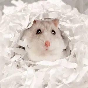 Tissue Hamster Alas Kandang 100 Gram - Bedding pengganti Serbuk Kayu