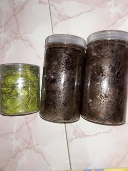 Product Review of Keripik pisang lumer toples 1000ml (350gram)  keripik & camilan isi  pisang from m**a 1
