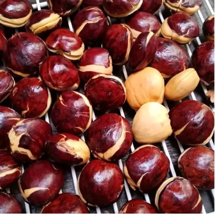 Sayuran Kering Jengkol Tua Kwalitas Super Ukuran 1 Kg Murah Fress Josss
