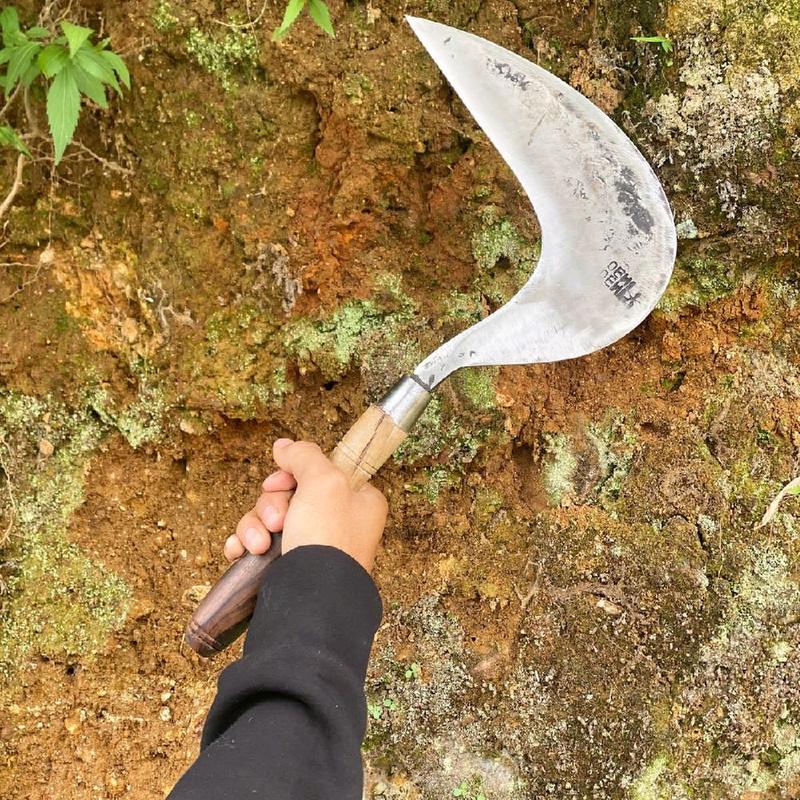 pemangkas rumput c4p d3w1 100% original baja asli - Shop | Tokopedia