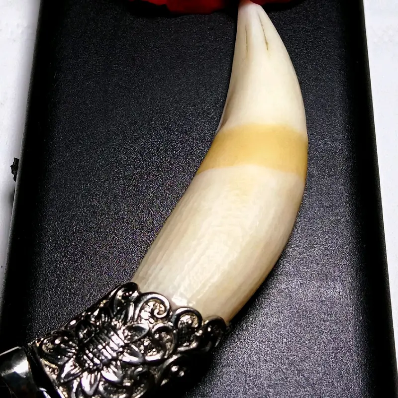 aksesoris Taring HM lengkap dengan kalung 0