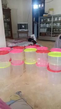 Product Review of (5 PCS) TOPLES PLASTIK MURAH / TOPLES JUALAN SEBLAK /  TOPLES 3 LITER / 3L / TOPLES KERUPUK / TOPLES UNTUk JUALAN / TOPLES BENING AESTETIK from a**a 0