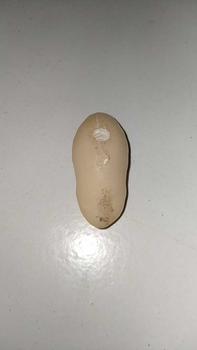 Product Review of molding / cetakan untuk bikin softfrog ukuran 3,5 cm from K**k 0