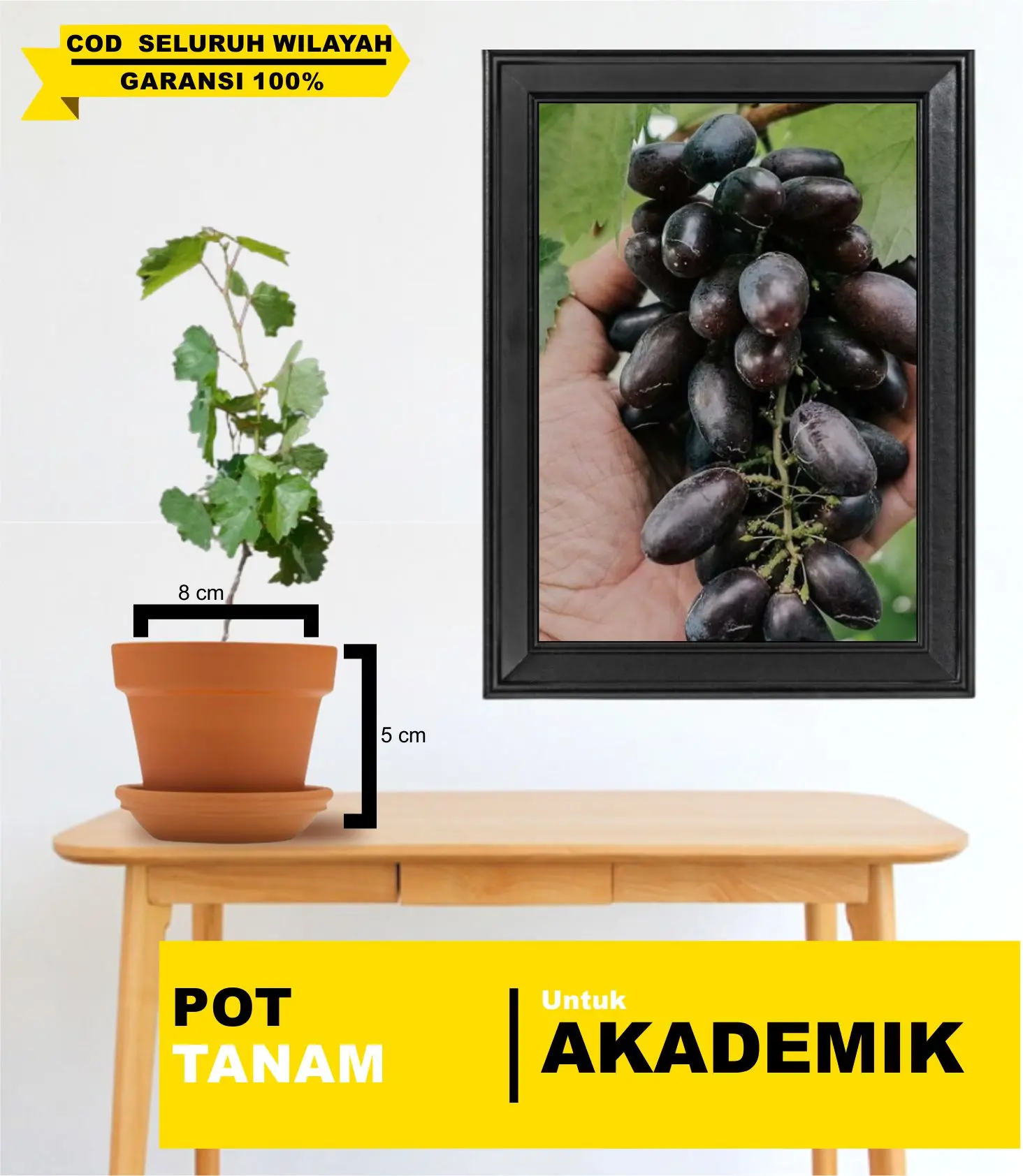 POT PLASTIK UNTU TANAM AKADEMIK