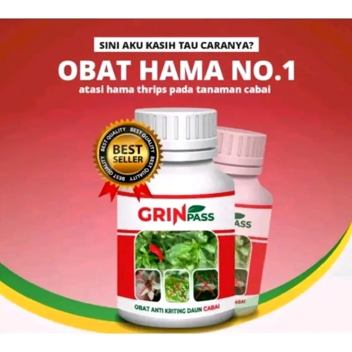 GRIN PASS - atasi hama trhips pada tanaman cabai