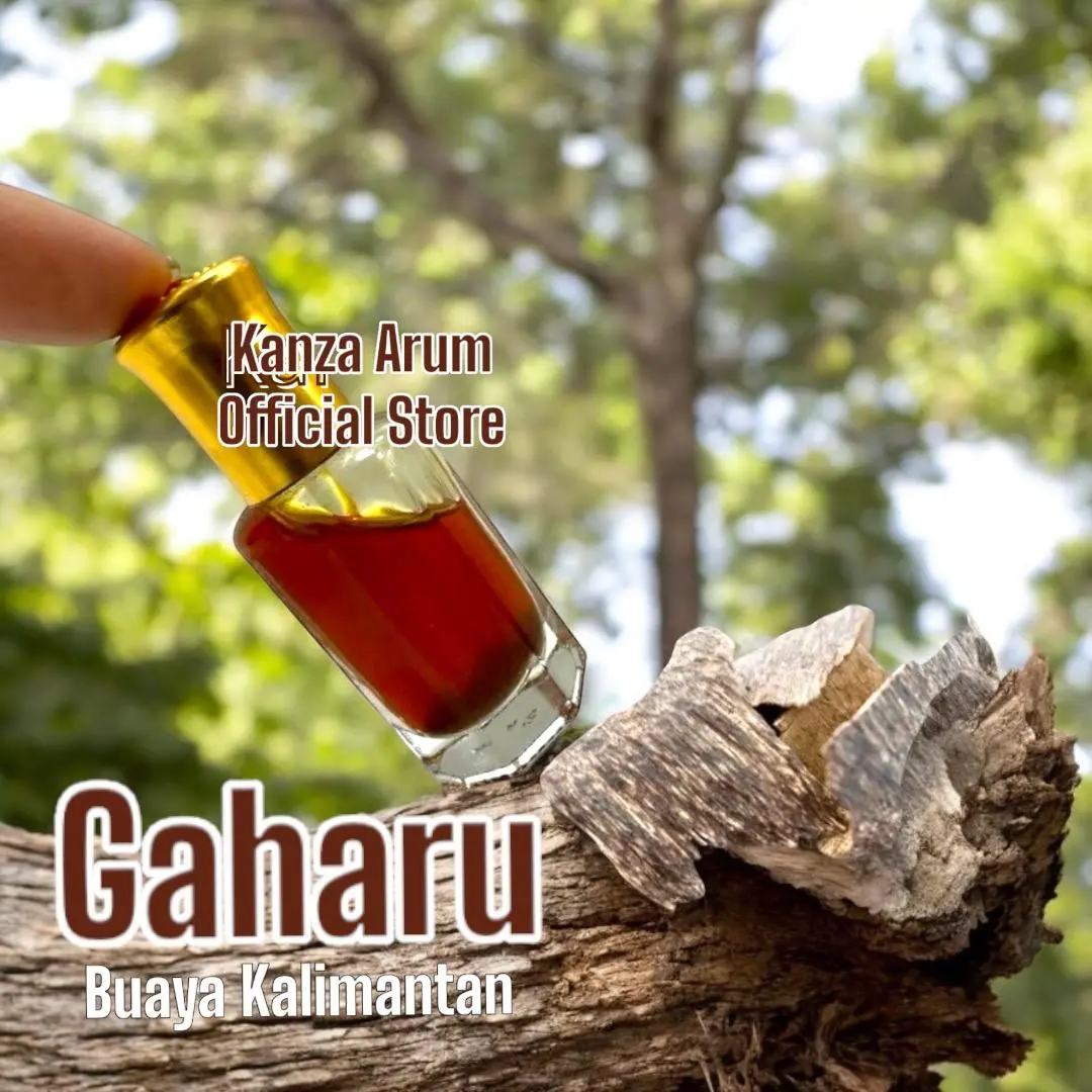 Minyak Gaharu Premium Asli Pure kalimantan BPOM/minyak wangi kayu gaharu original 100%ASLI/parfum gaharu wangi tahan lama/parfum pria tahan lama/minyak gaharu super asli kalimantan wangi tahan lama Perfume Wanginya Wanita