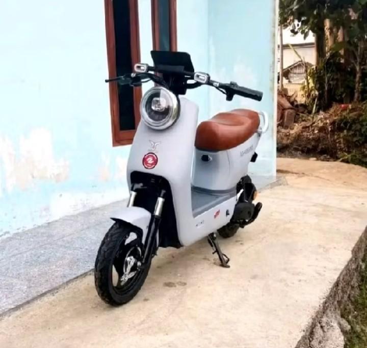 Product Introduction of stang sepeda listrik pnp bisa untuk semua jenis sepeda listrik 11