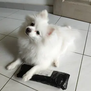 Gunting Kecantikan Hewan Peliharaan Gunting Grooming Lengkung Curve 5 Set Scissors For Anjing Kucing